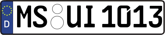 MS-UI1013