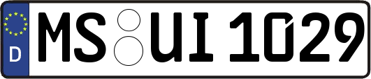 MS-UI1029