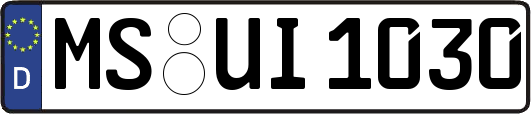 MS-UI1030