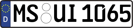 MS-UI1065