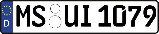 MS-UI1079