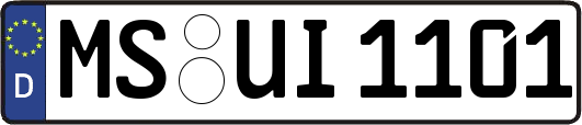 MS-UI1101