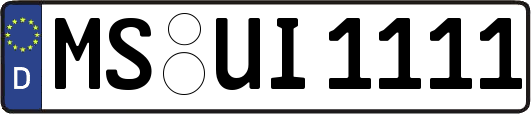 MS-UI1111