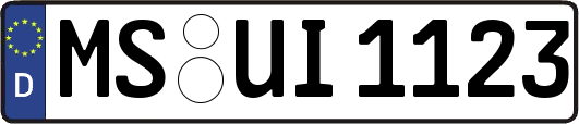 MS-UI1123