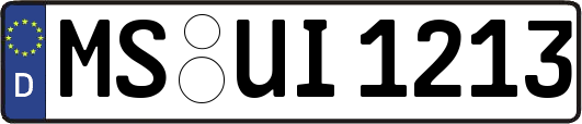 MS-UI1213