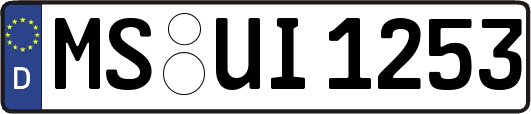 MS-UI1253