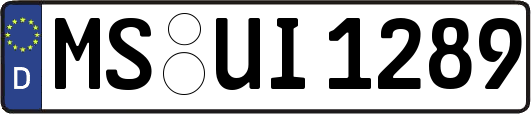 MS-UI1289