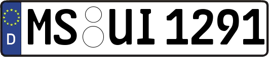 MS-UI1291