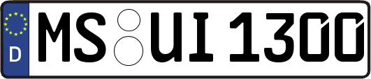 MS-UI1300