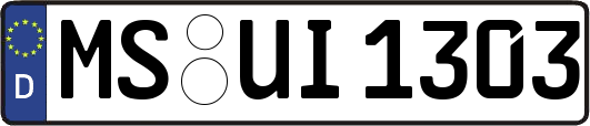 MS-UI1303