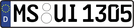 MS-UI1305