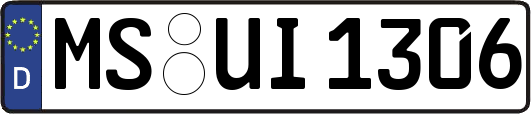 MS-UI1306