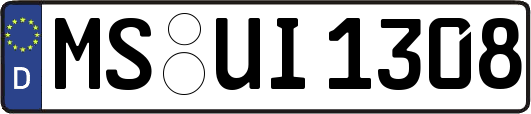 MS-UI1308