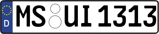 MS-UI1313