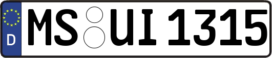 MS-UI1315