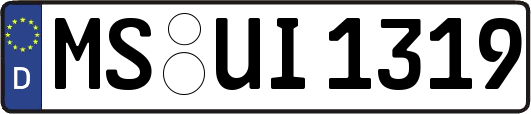 MS-UI1319