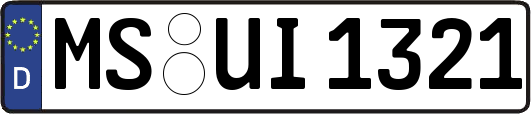 MS-UI1321