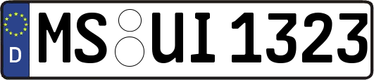 MS-UI1323