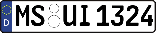 MS-UI1324
