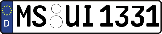 MS-UI1331