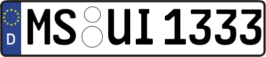 MS-UI1333