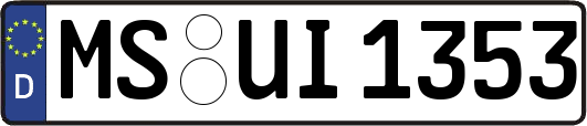 MS-UI1353