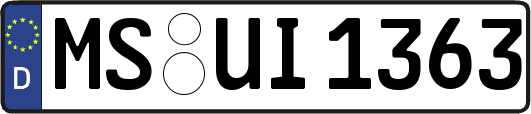 MS-UI1363