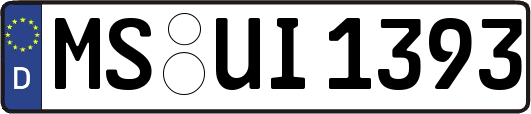 MS-UI1393