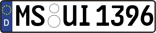 MS-UI1396