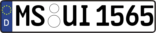 MS-UI1565