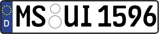 MS-UI1596