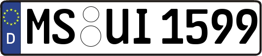 MS-UI1599