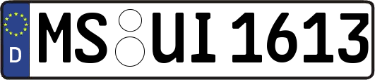 MS-UI1613