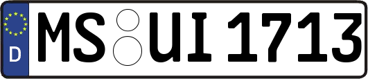 MS-UI1713