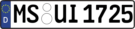 MS-UI1725