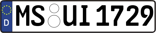 MS-UI1729