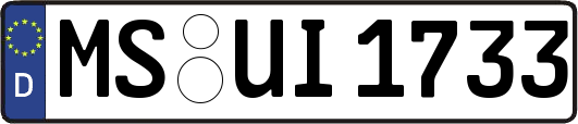 MS-UI1733