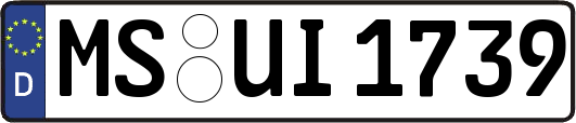 MS-UI1739