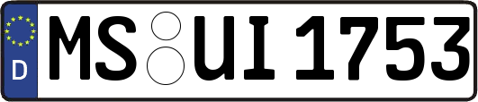 MS-UI1753