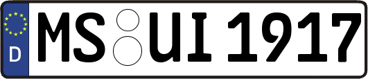 MS-UI1917