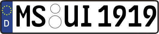 MS-UI1919