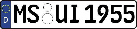 MS-UI1955