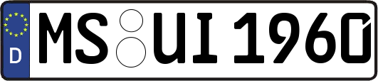 MS-UI1960