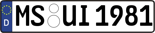 MS-UI1981
