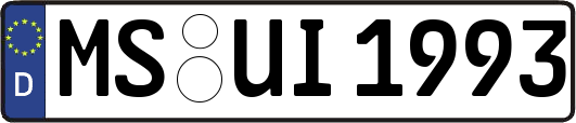 MS-UI1993