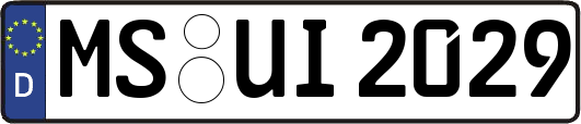 MS-UI2029