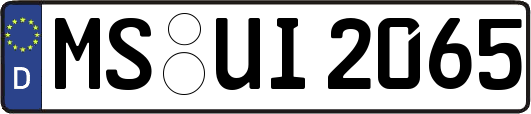 MS-UI2065