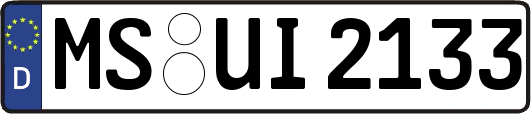 MS-UI2133