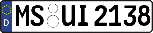 MS-UI2138