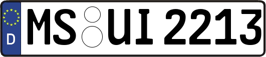 MS-UI2213